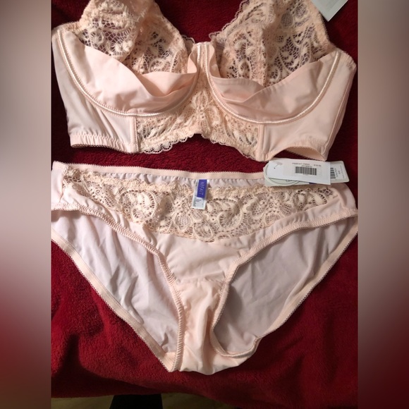 Parfait Lingerie Pale Blush Bra & Panty Set - Size 38E/Large - New With Tags - Picture 6 of 9